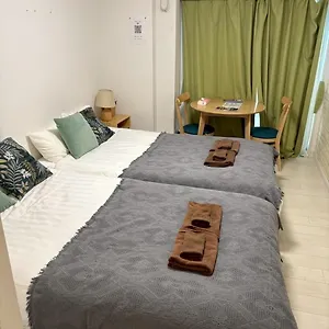 アパート リブシティ錦糸町参番館上層階眺望良好北欧ルーム, Akihabara 6mins, 8 Mins, Direct To Narita Airport 成田空港直達